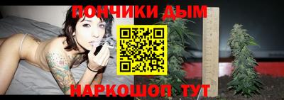 СК Новодвинск