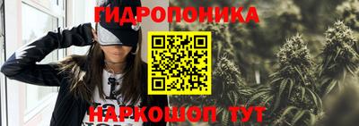 соль ск Новокубанск