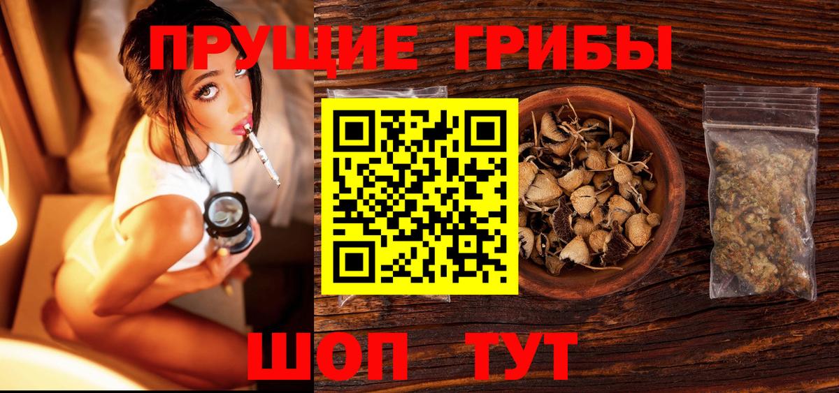 Псилоцибиновые грибы GOLDEN TEACHER  Вход с VPN  Сызрань  Галлюциногенные грибы мухоморы 